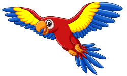 parrot